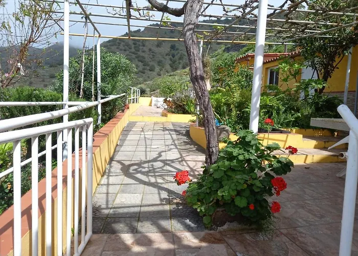 Orange House